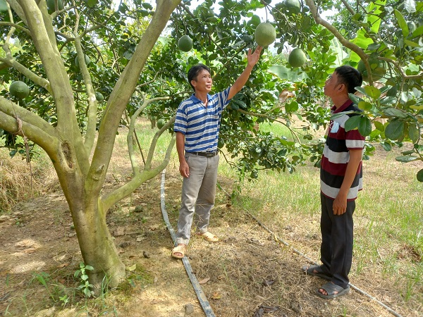 Khánh Hòa nỗ lực đưa 2 huyện miền núi ra khỏi danh sách huyện nghèo (04/07/2022)